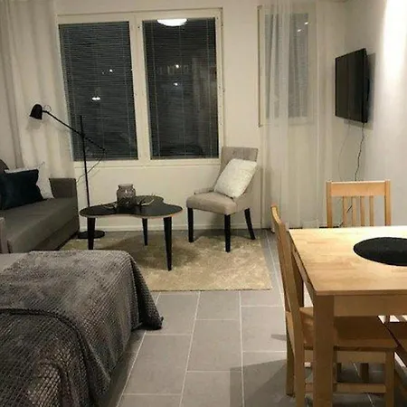 Apartment Ski Studio Levi