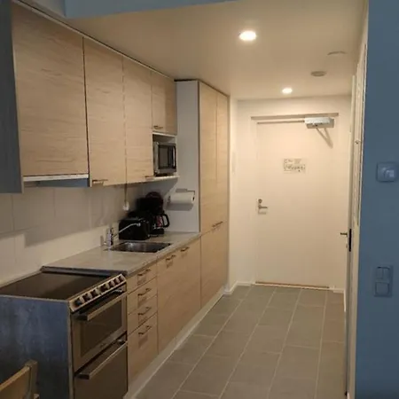 Ski Studio Levi Levi