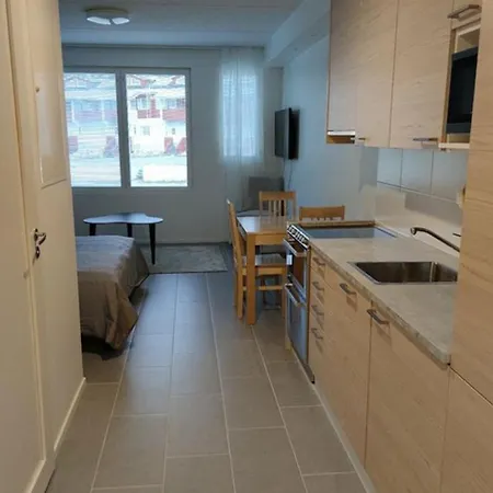 Ski Studio Levi Διαμέρισμα *