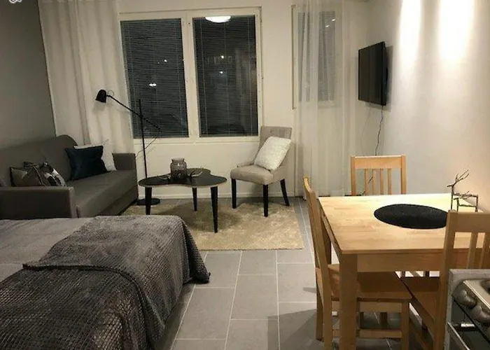 Appartement Ski Studio Levi