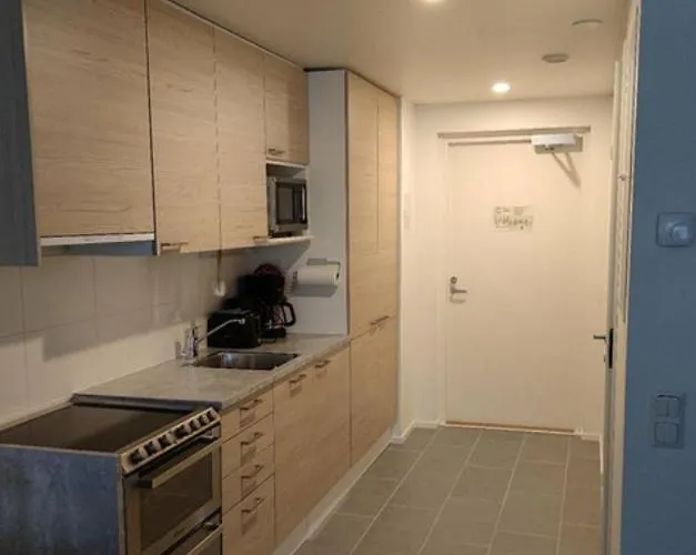 Ski Studio Levi Levi