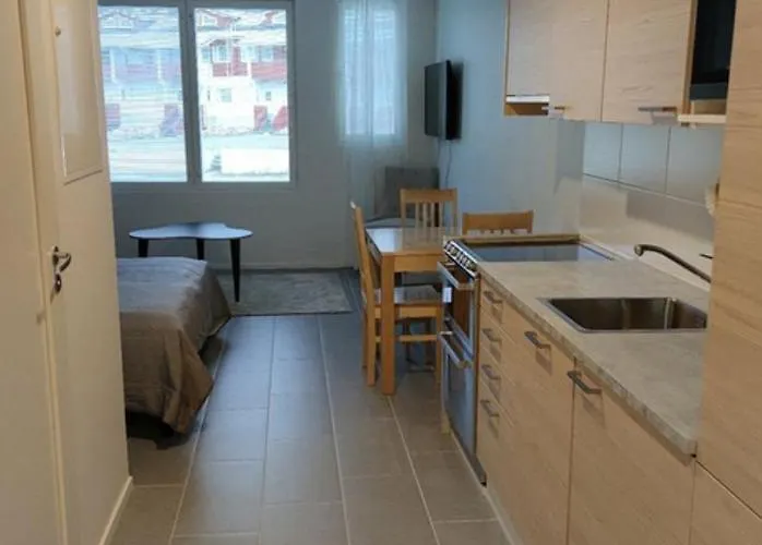 Ski Studio Levi Appartement *